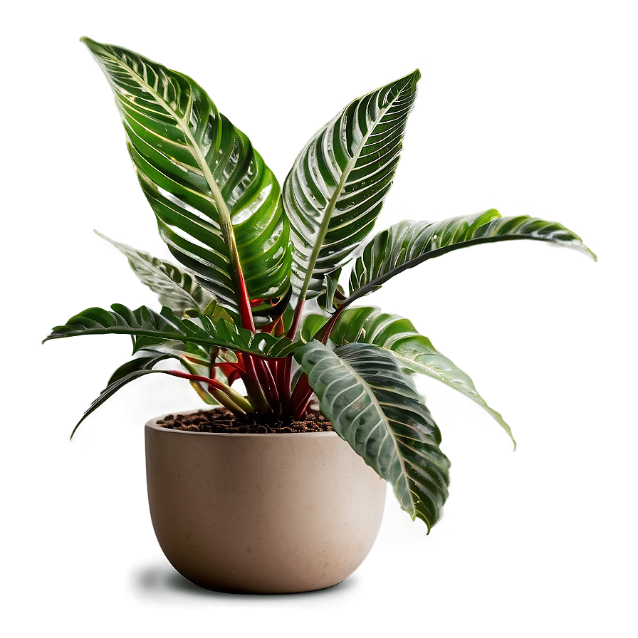 Indoor Plants For Health Png 06252024 PNG image