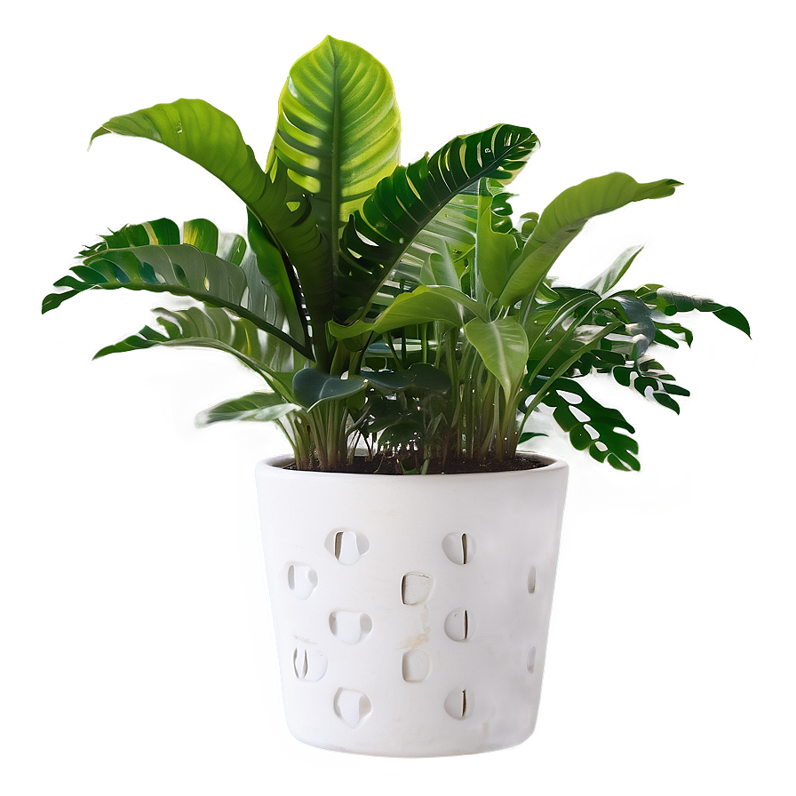 Indoor Plants For Health Png Onp90 PNG image