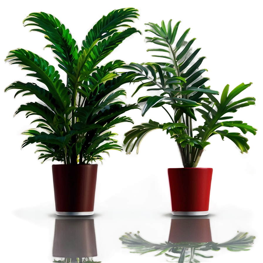 Indoor Plants In Office Png 06252024 PNG image