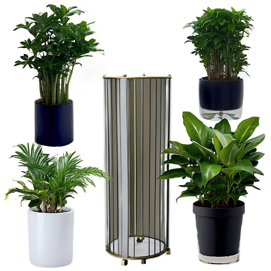 Indoor Plants In Office Png Uwy PNG image