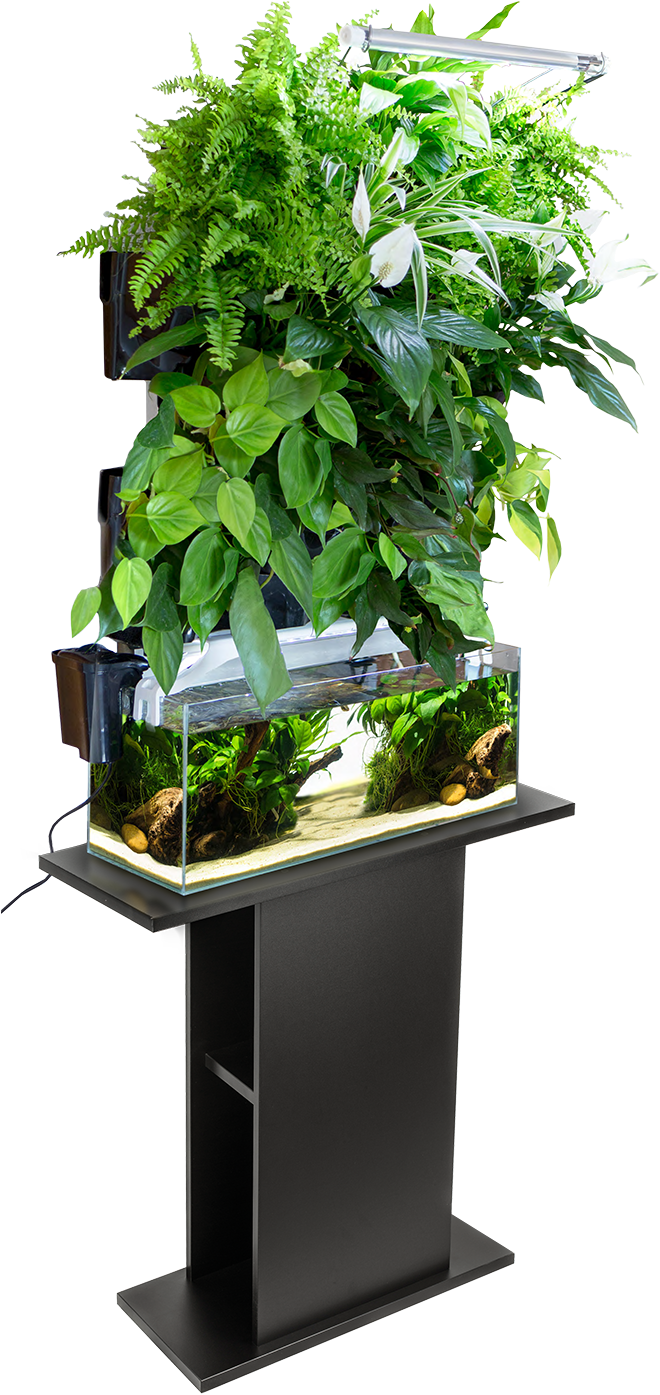 Indoor Vertical Garden Aquaponics System PNG image