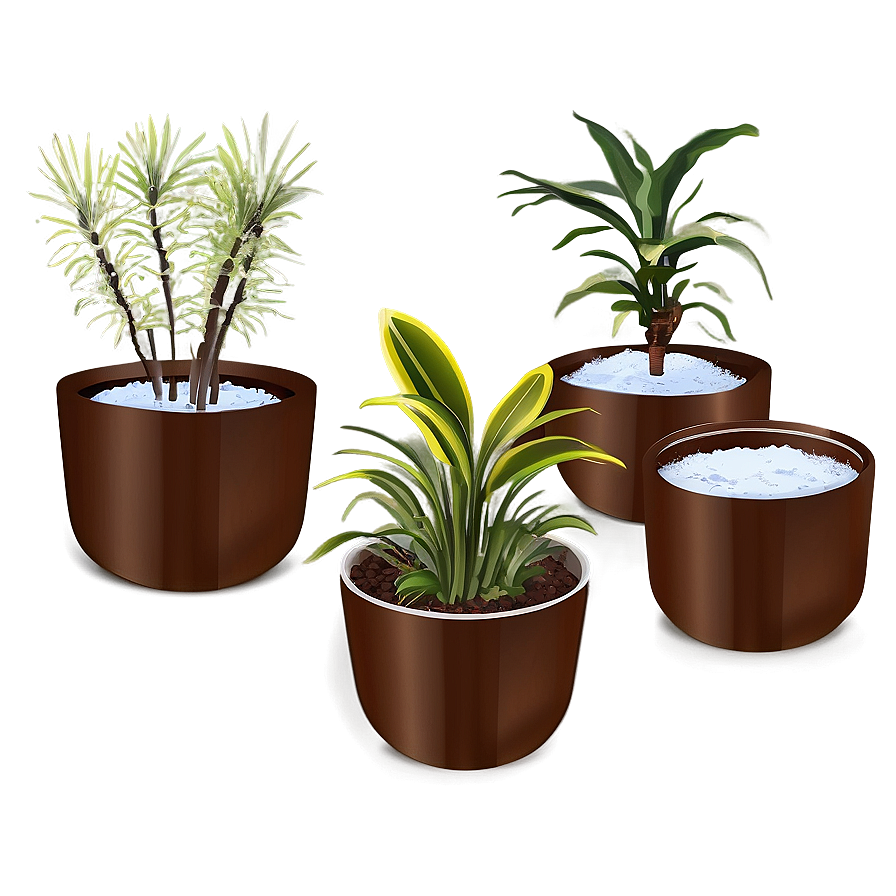 Indoor Winter Plants Png Vup PNG image