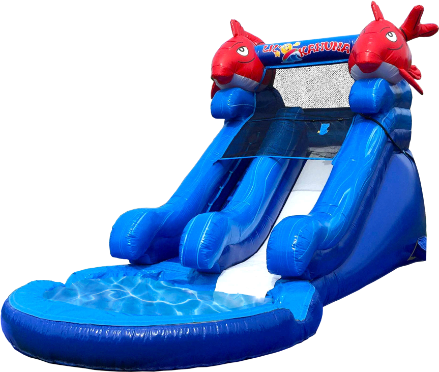 Inflatable Dolphin Water Slide PNG image