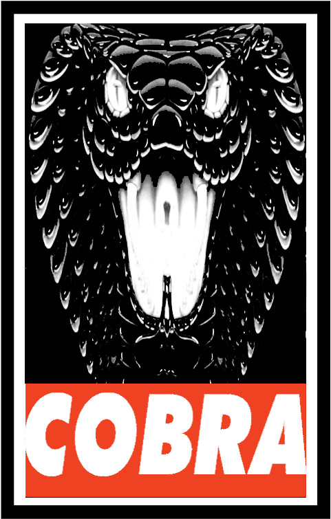 Intense Cobra Graphic PNG image