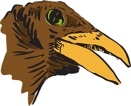 Intense_ Eagle_ Profile_ Vector PNG image