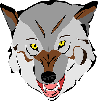 Intense Stare Wolf Vector Art PNG image