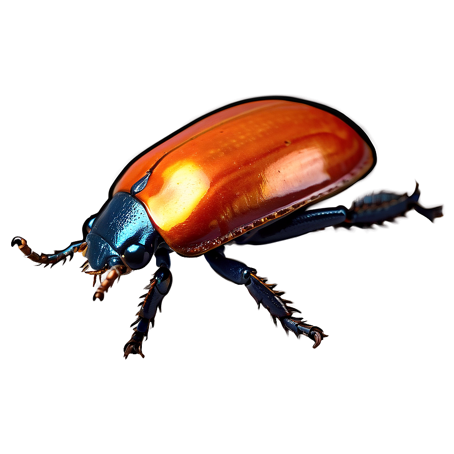 Interactive Beetle Life Game Png Dke23 PNG image