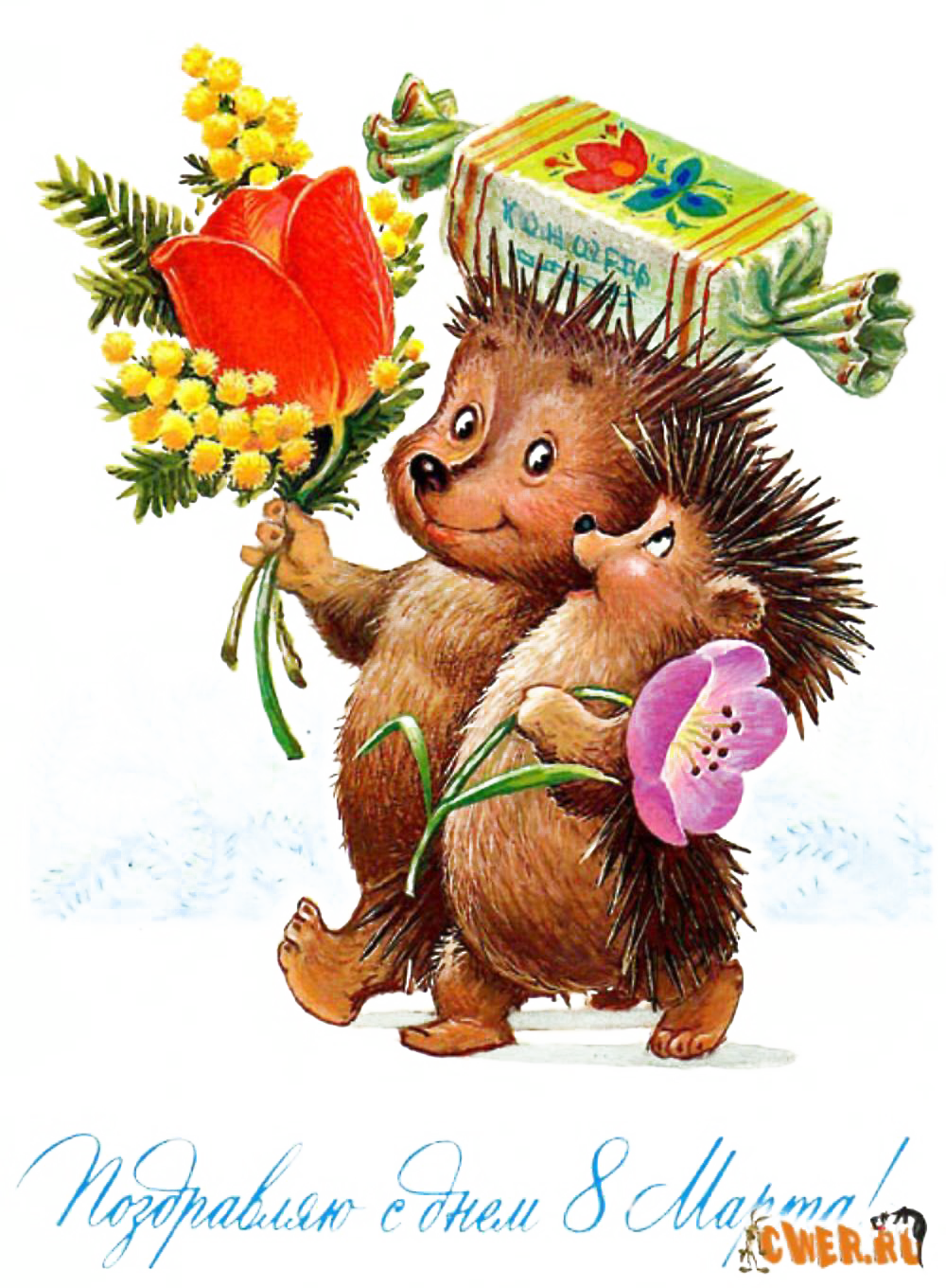 International Womens Day Celebratory Hedgehogs PNG image