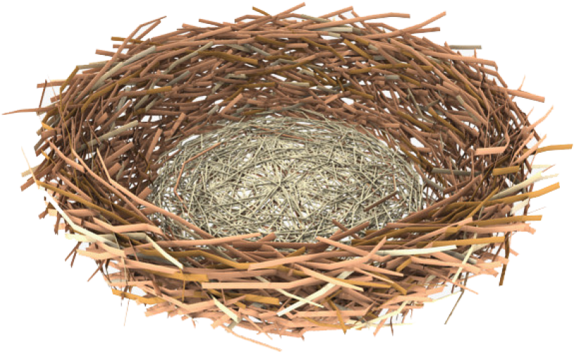 Intricate Bird Nest Structure.png PNG image