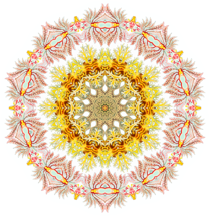 Intricate Mandala Pattern Sticker PNG image