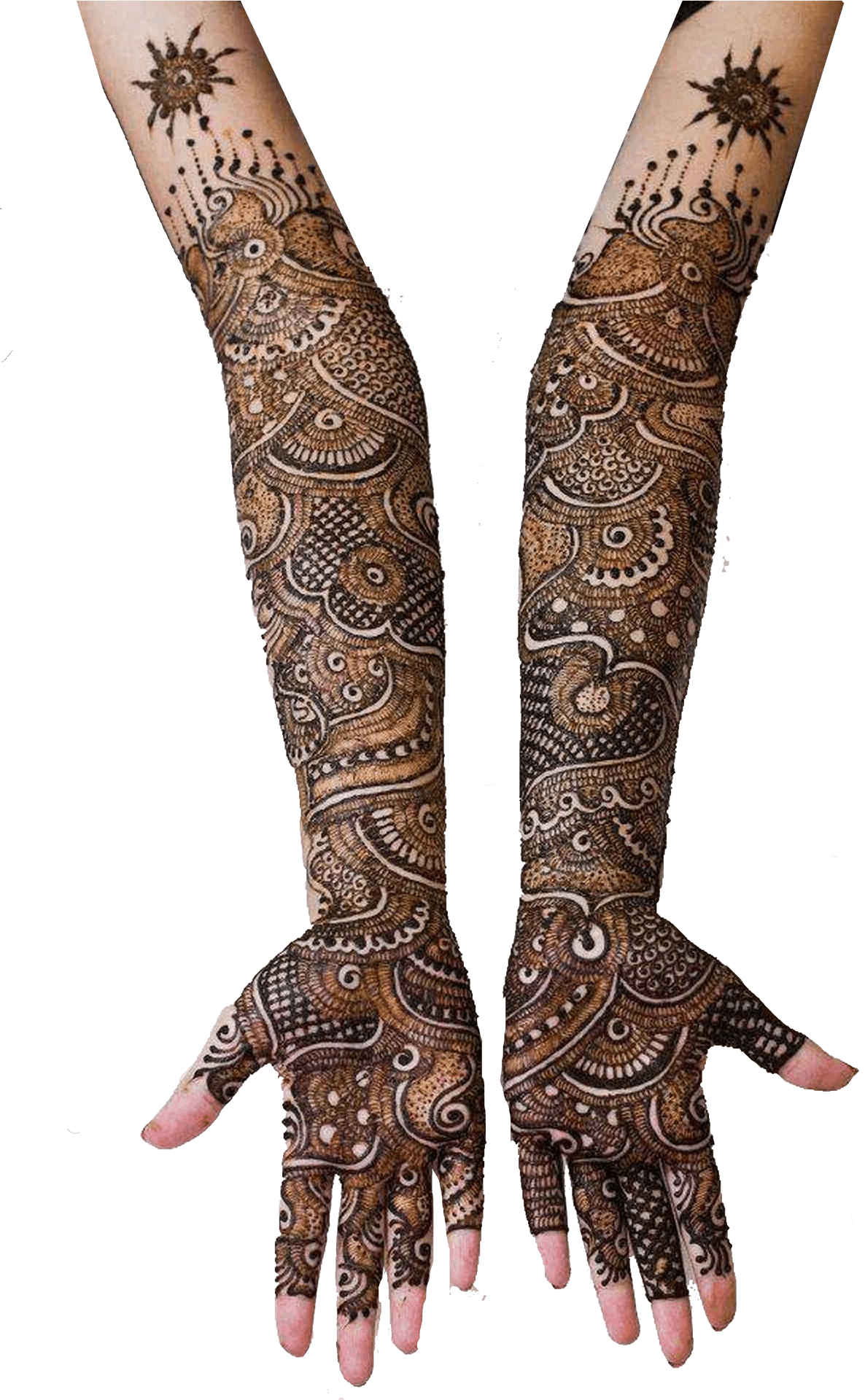 Intricate Mehndi Design Arms PNG image