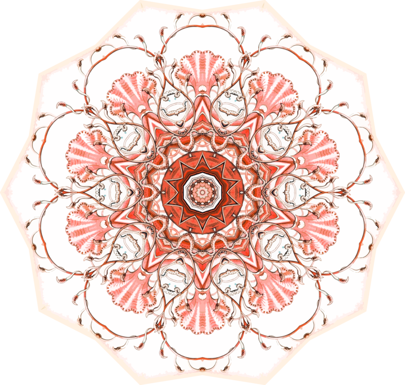 Intricate Red Mandala Pattern.png PNG image