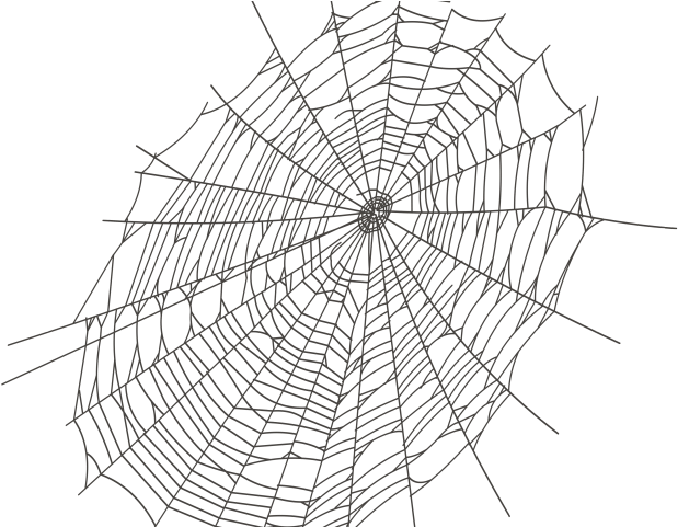 Intricate Spider Web Design PNG image