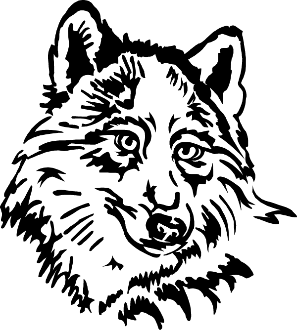 Intricate Wolf Silhouette Graphic PNG image