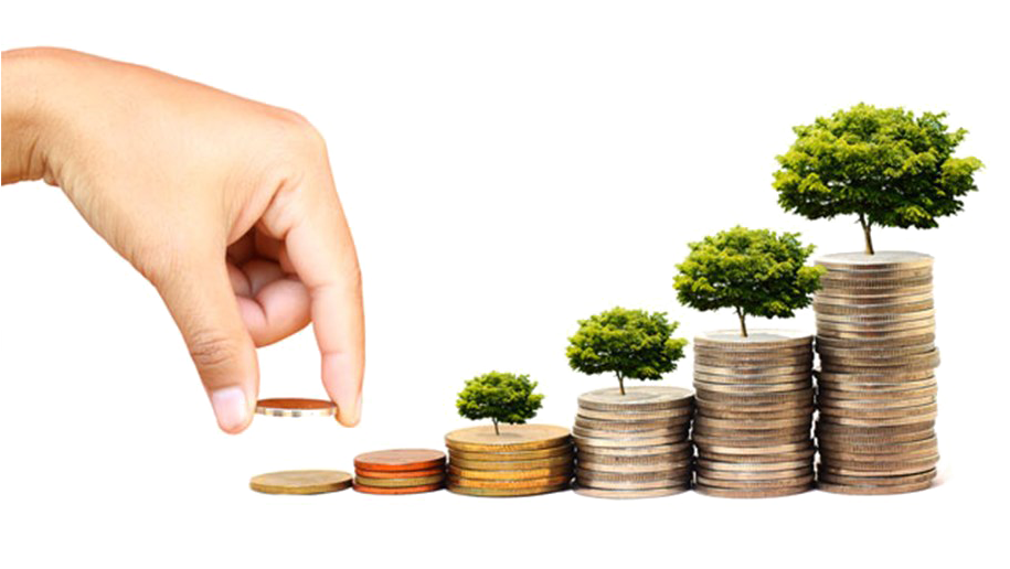 Investment Growth Concept PNG image