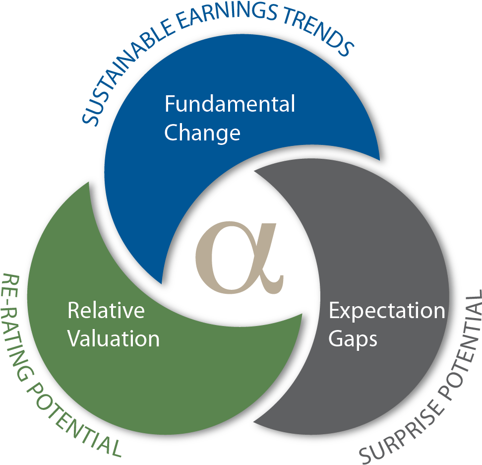 Investment Strategy Components Venn Diagram PNG image