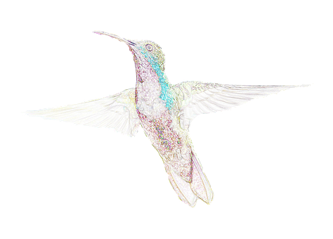 Iridescent Hummingbird Artwork PNG image