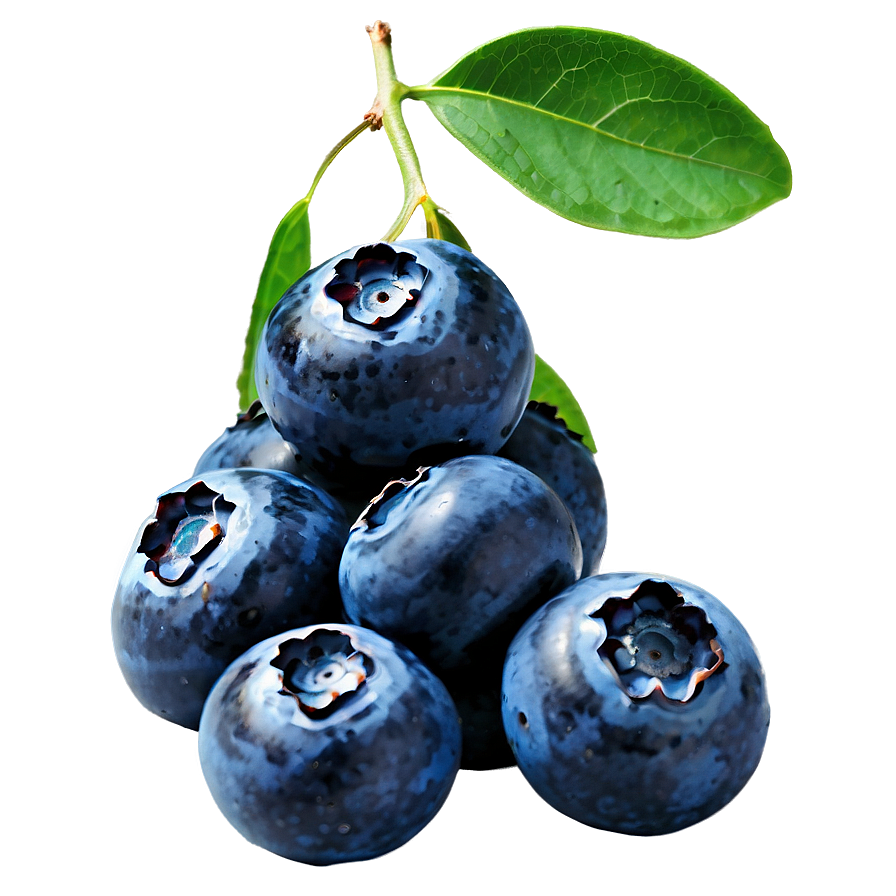 Isolated Blueberry Png 05212024 PNG image