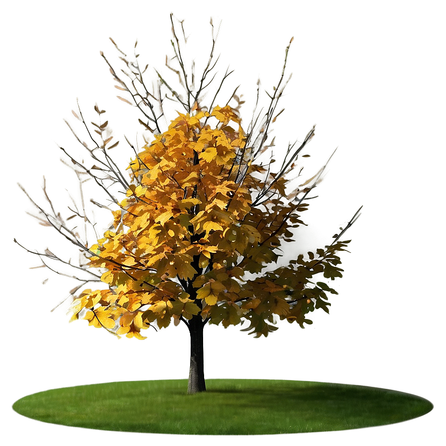 Isolated Fall Tree Png Hie73 PNG image