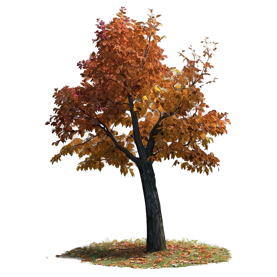 Isolated Fall Tree Png Kvt87 PNG image