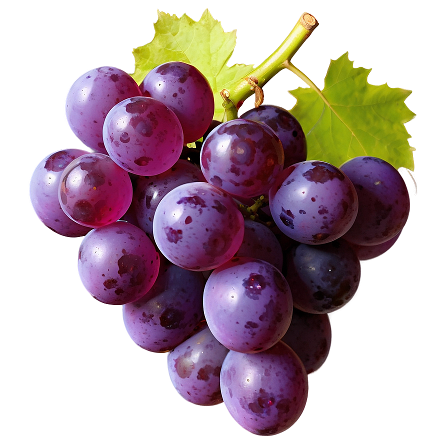 Isolated Grape Picture Png 06292024 PNG image