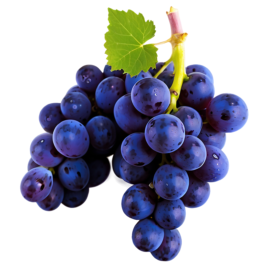 Isolated Grape Picture Png 60 PNG image