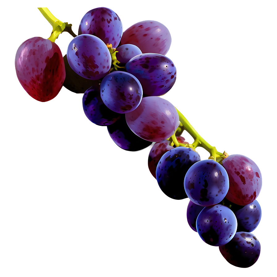 Isolated Grape Picture Png 68 PNG image
