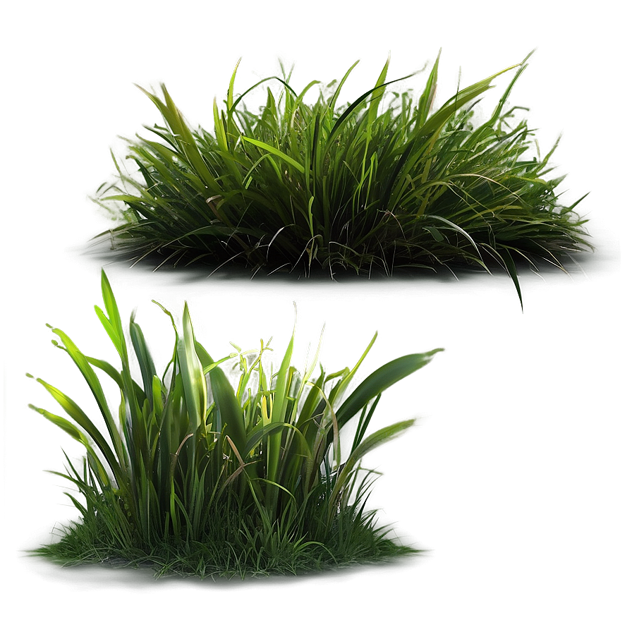 Isolated Grass Patch Png 06212024 PNG image