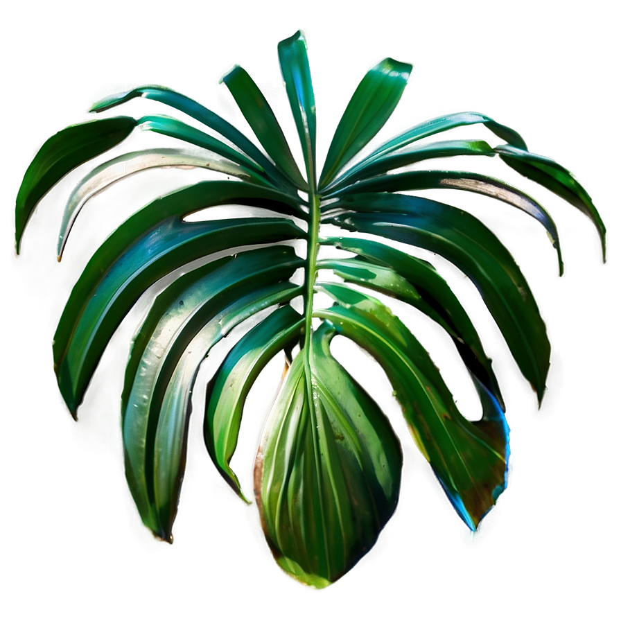 Isolated Palm Leaves Png 62 PNG image