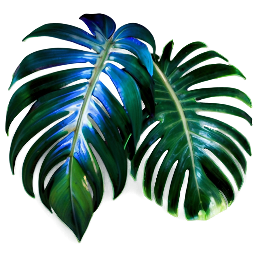 Isolated Palm Leaves Png Xvk PNG image