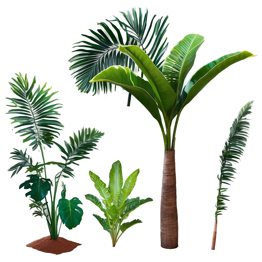 Isolated Tropical Plants Png 86 PNG image