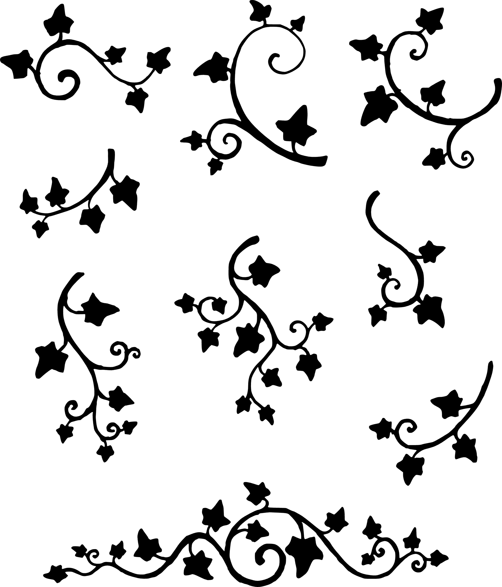 Ivy Pattern Vector Illustration PNG image