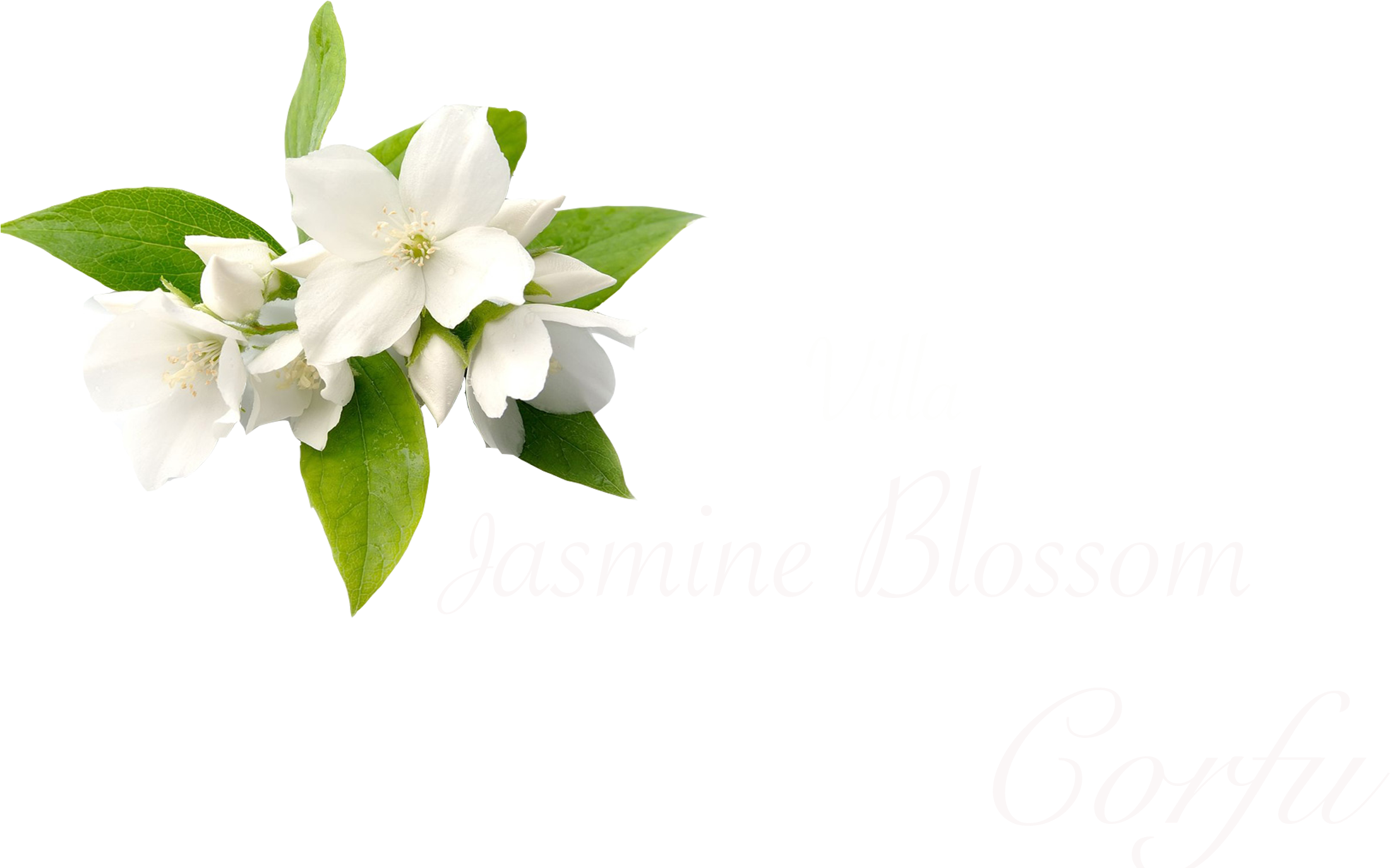 Jasmine Blossom Villa Corfu PNG image