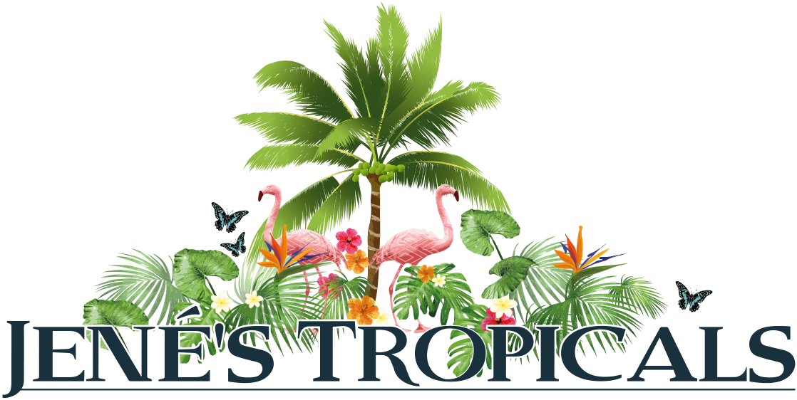 Jenes Tropicals Logo Flamingos Palm Tree PNG image