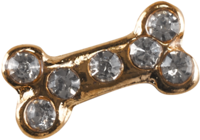 Jeweled Gold Dog Bone PNG image