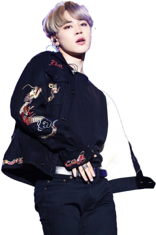 Jimin Posingin Embroidered Jacket PNG image