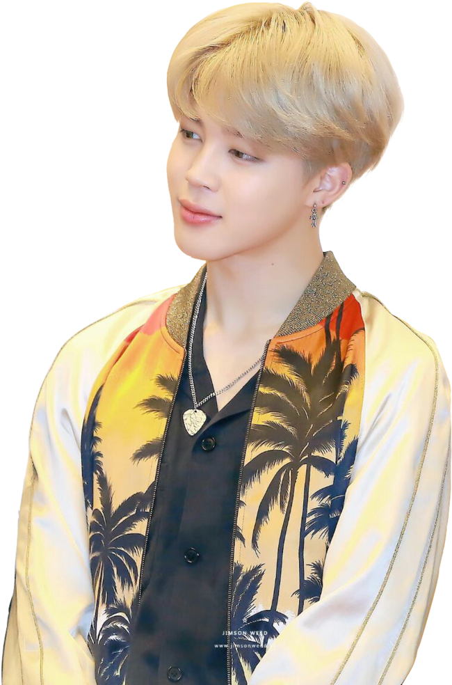 Jiminin Tropical Shirt PNG image