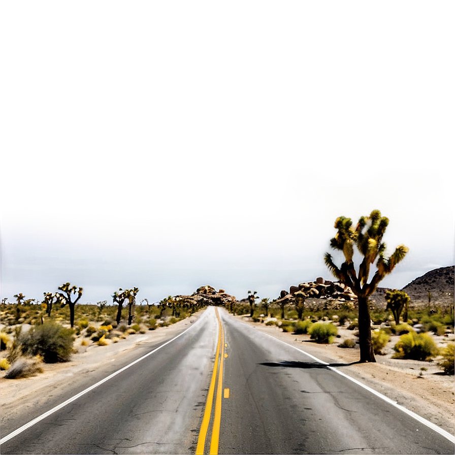 Joshua Tree Desert Road Png Fbf69 PNG image