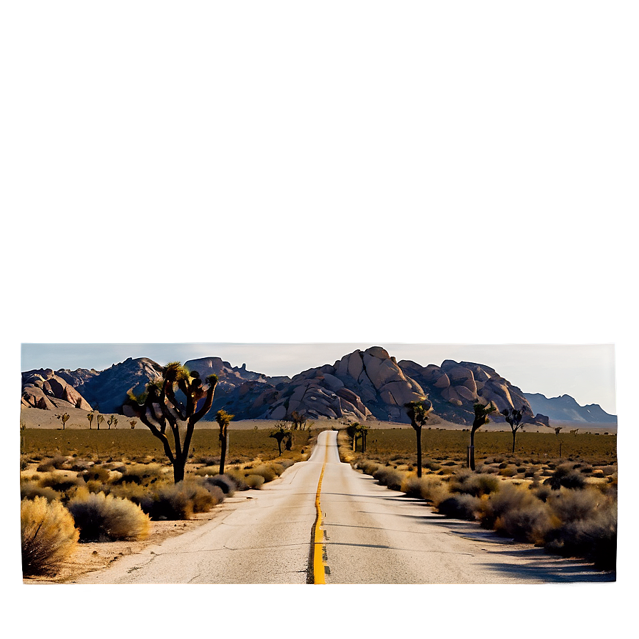 Joshua Tree Desert Road Png Psd PNG image