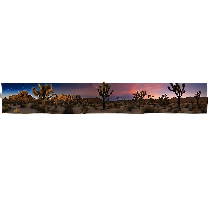 Joshua Tree Night Sky Panorama Png 06262024 PNG image