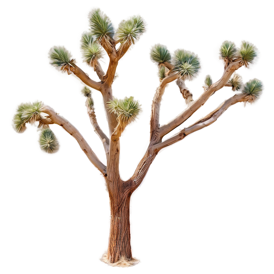 Joshua Tree With Desert Animals Png Dvn88 PNG image