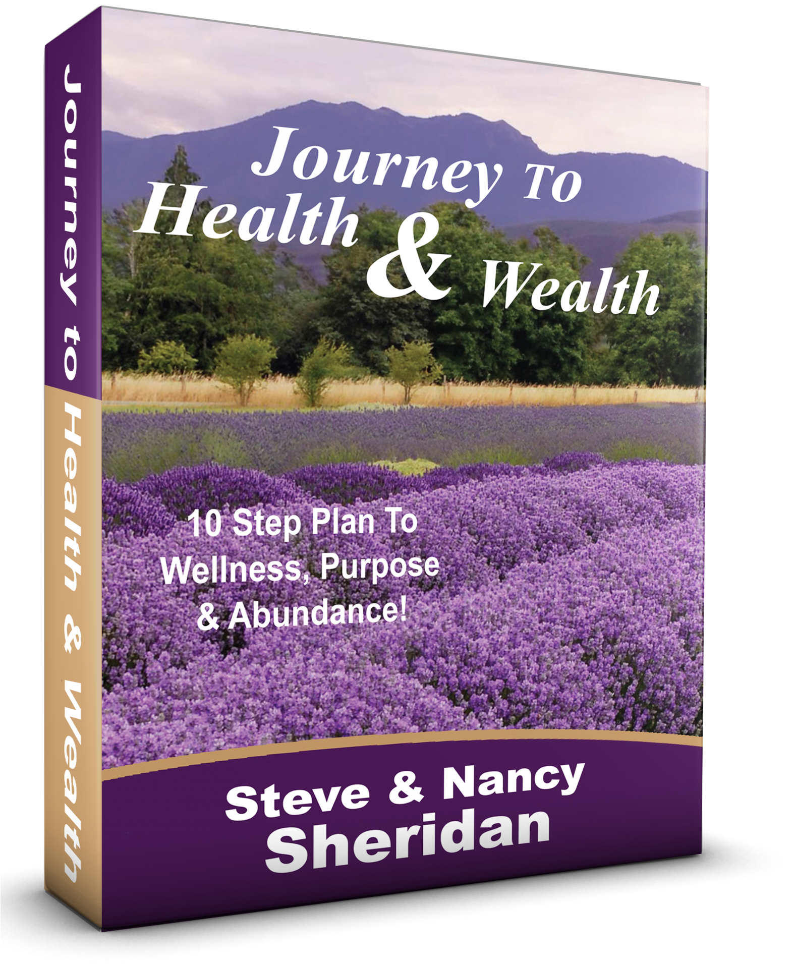 Journeyto Healthand Wealth Book Cover PNG image