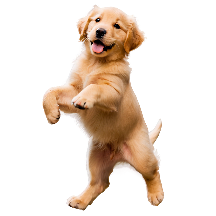 Joyful Golden Retriever Puppy Png 06252024 PNG image