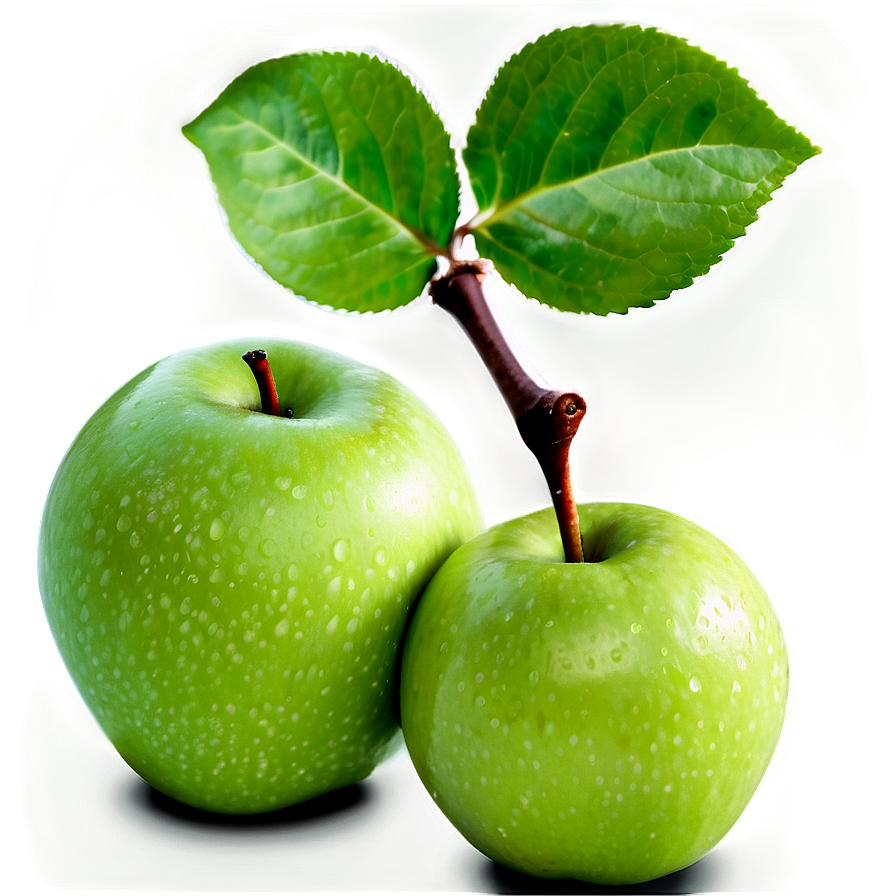 Juicy Green Apple Png 64 PNG image