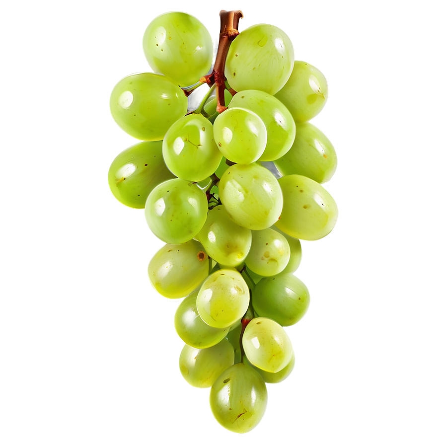 Juicy Green Grapes Bunch Png 05062024 PNG image