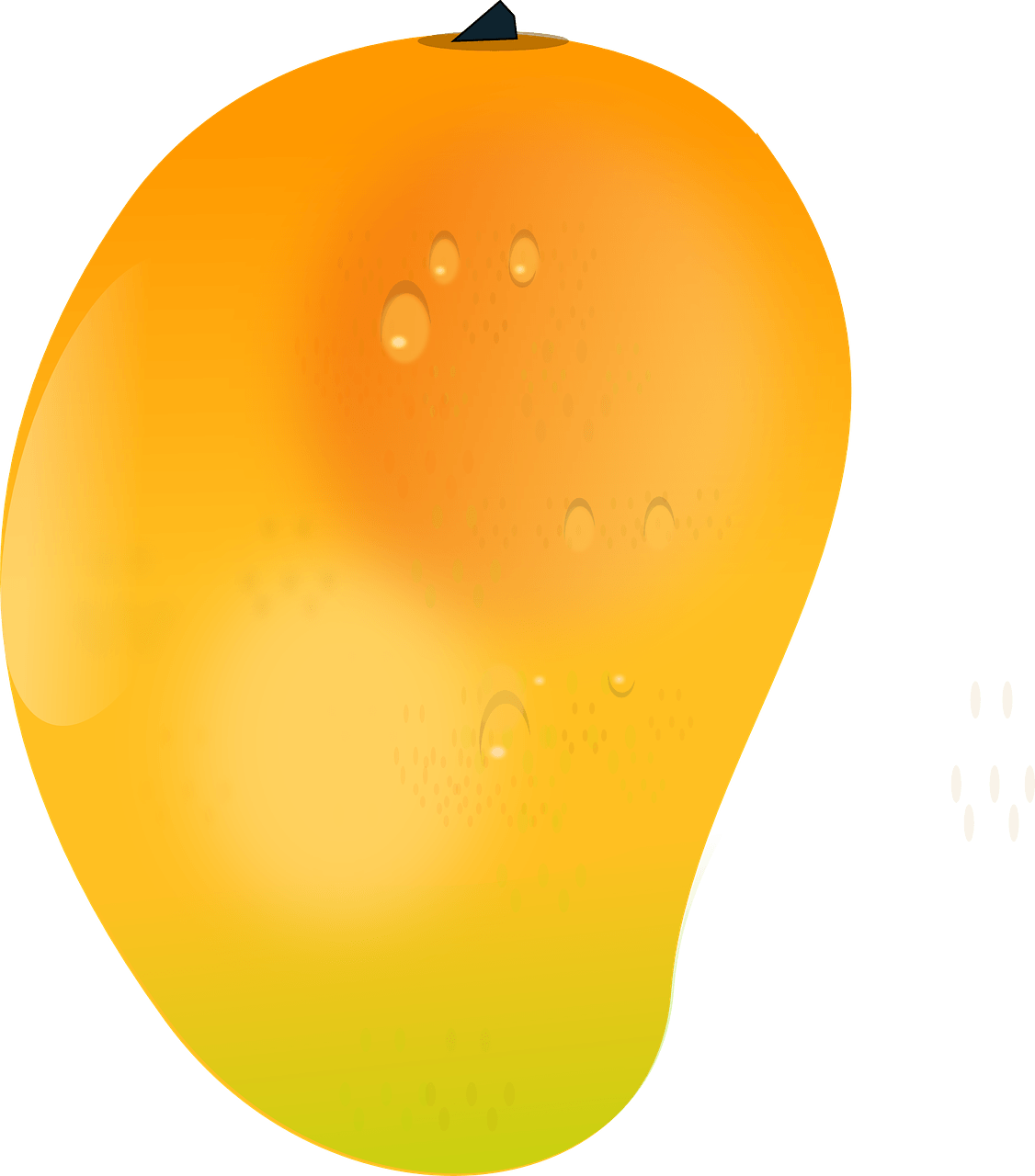 Juicy Mango Fruit Illustration PNG image