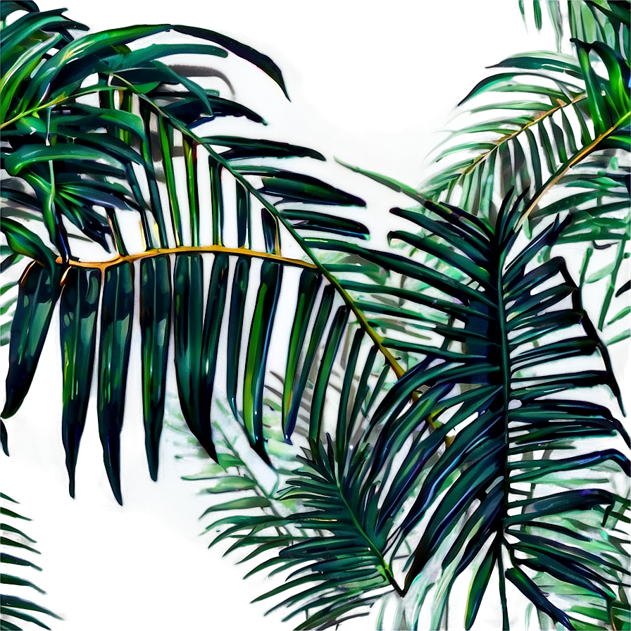 Jungle Palm Leaves Png 05252024 PNG image