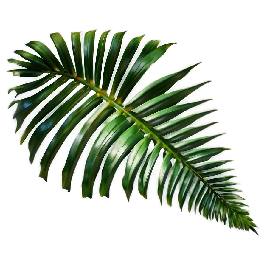 Jungle Palm Leaves Png Rlg PNG image