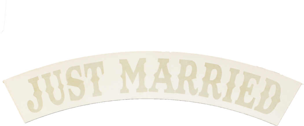 Just Married Banner PNG image