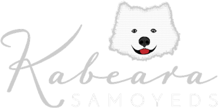 Kabeara Samoyeds Logo PNG image